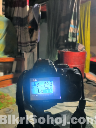নিকোন 3100 ডি